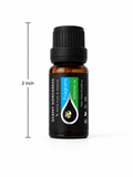 Fragrans Essential Oil
