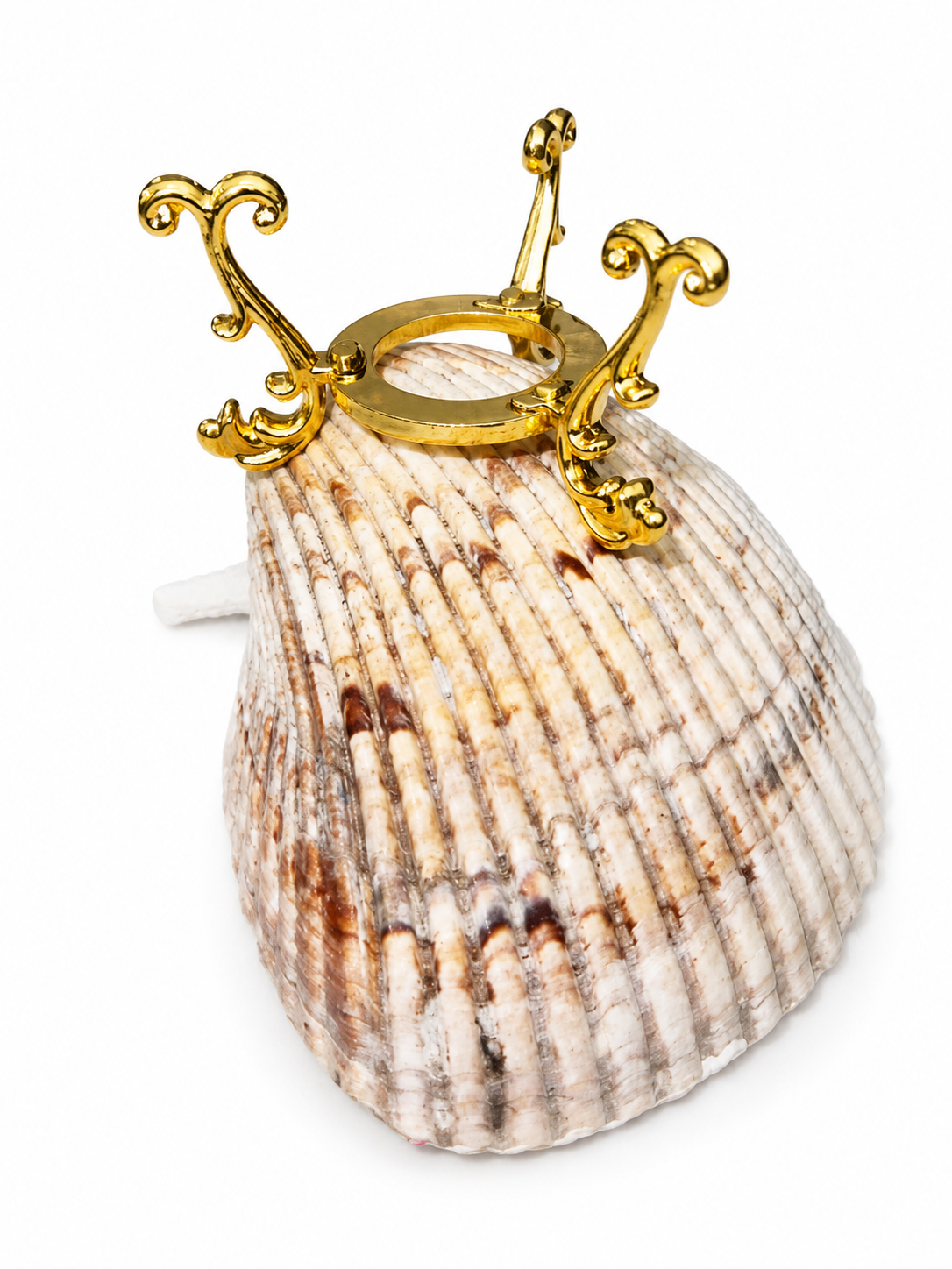 Handmade Florida Shell Crystal Holder with starfish and seashell design