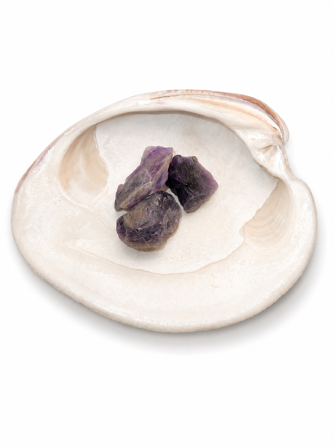 ONE! Raw Amethyst [1-1.5 inches]