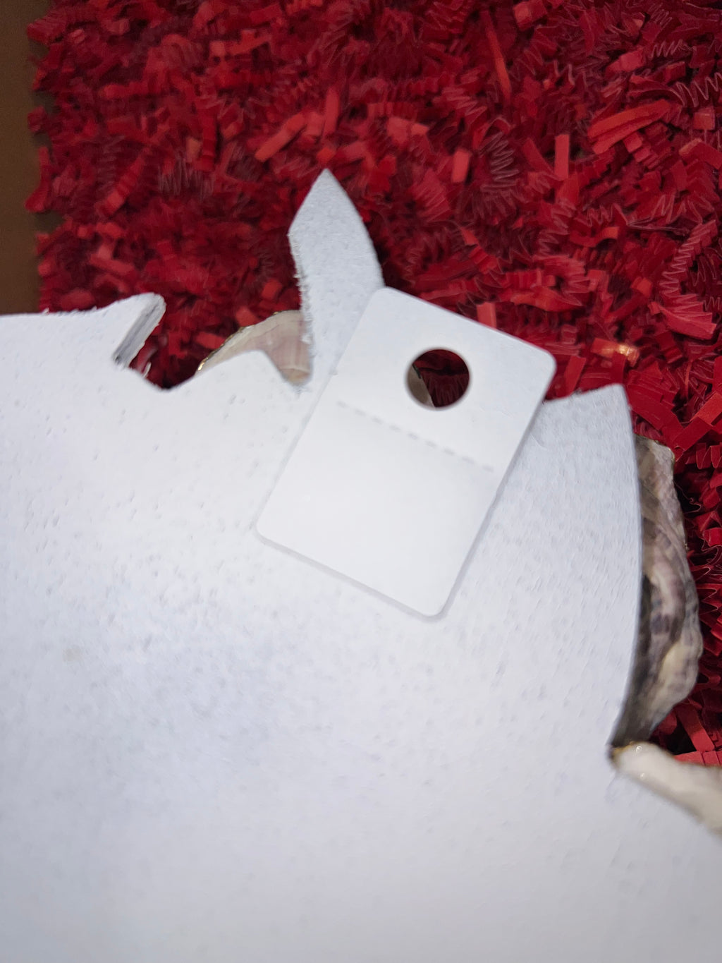Handcrafted Oyster Strawberry Aesthetic Hanging Decor