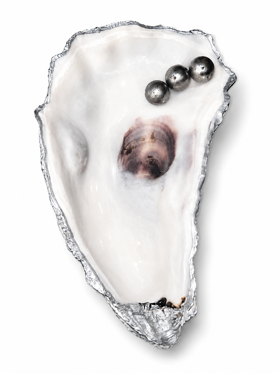 Natural Oyster Crystal Tray